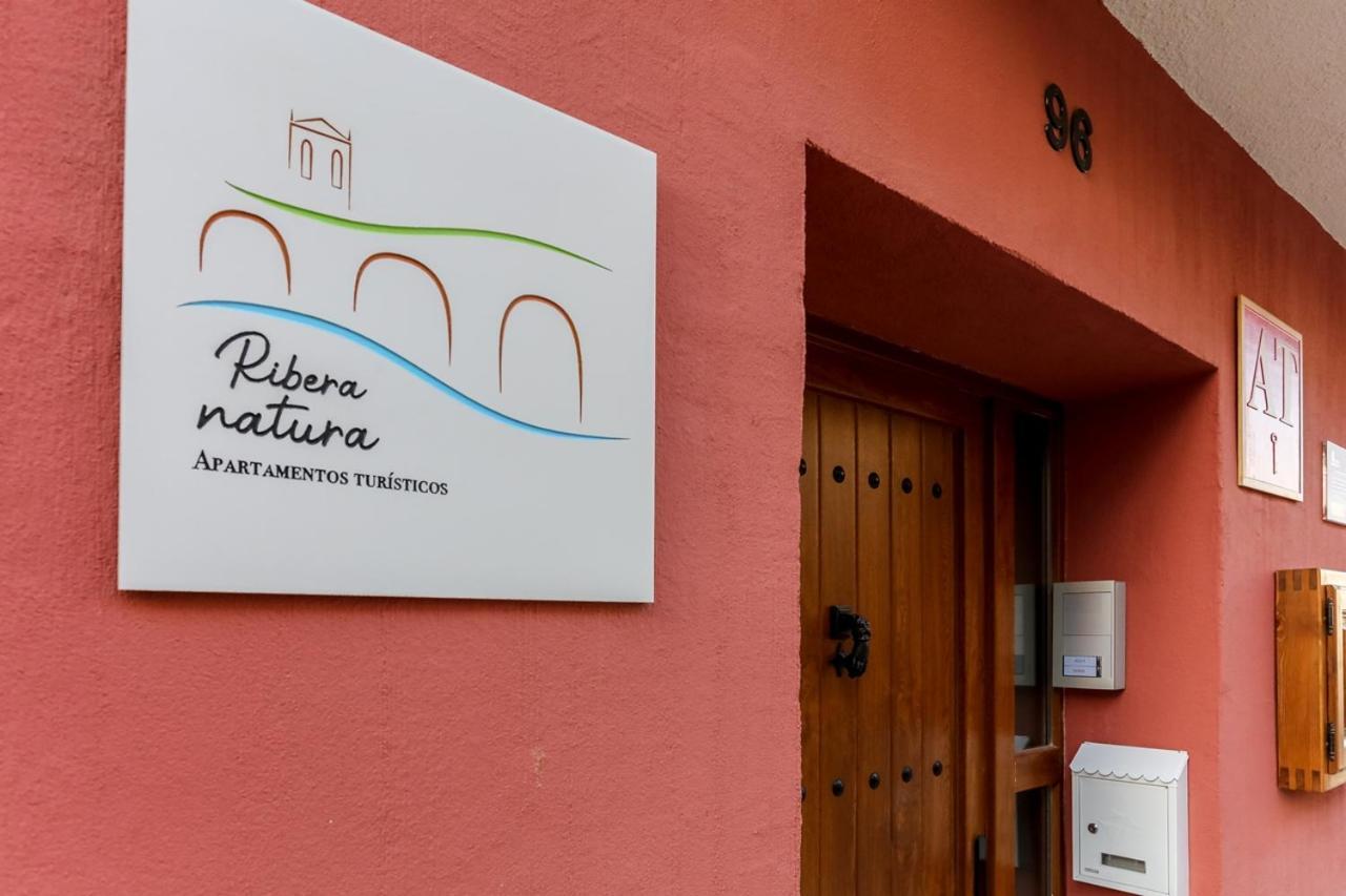 Apartamentos Turisticos Ribera Natura San Martin de Rubiales Kültér fotó